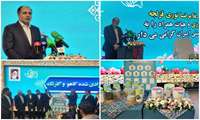 Iran unveils new hybrid lettuce seeds