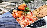 Iran seafood exports surge, reaching 45 countries
