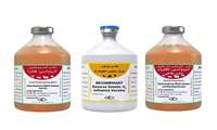 Iran Razi Institute revolutionizes veterinary medicine with 3 new vaccines