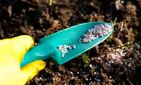 Iran secures fertilizer self sufficiency, aims for global market  