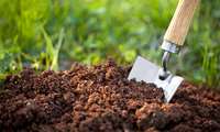Pishva rings alarm for soil conservation 