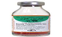 Iran Razi Institute unveils new vaccine for Bovine Theileriosis