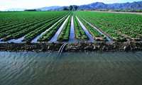 Iran targets significant reduction in agricultural water consumption