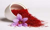 Iran commemorates National Saffron Day