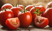 Iran tomato exports surge
