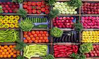 Mazandaran agricultural exports soar 100 percent