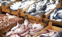 Iran aims for major boost in fisheries exports