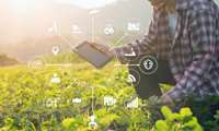 Iran launches over 100 smart irrigation projects 