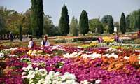 Government says determined to protect National Botanical Garden