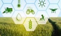 Iran launches nationwide agricultural plan to boost food security