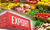 Iran registers 29 percent rise in its annual agri exports