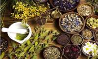 Isfahan exports 24,000 tons of medicinal plants to 40 countries 