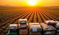 Agricultural exports from East Azarbaijan up 62 percent in one month