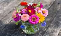 Khuzestan becomes Iran’s leading center for cut flower production