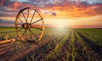 Dryland Agriculture key strategy for food resilience amid threats of climate change 