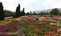 Zagros Botanical Garden sole genetic repository of Zagros regional plant species