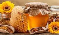 East Azerbaijan Province emerges as Iran’s beekeeping powerhouse