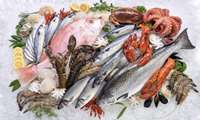 Iran aquatic exports reach record levels