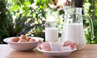 Iran has achieved self sufficiency in poultry, milk, deputy minister says  