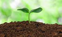 Iran marking National Soil Week concurrent with World Soil Day 