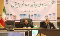 Intl expertise helps elevate quality of olive, olive oil production: IOC expert 