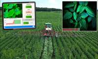 AREEO achieves technical knowledge for plant-based pesticide production
