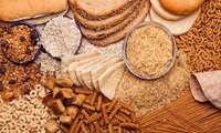 ’Perennial grain cultivation worldwide and its feasibility under Iran’s climate conditions’