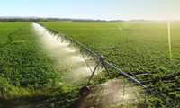 Iran exporting irrigation equipment to Russia, Turkey, Persian Gulf states