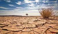  Iran eyes tech-driven agriculture to combat water crisis