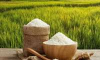 Iran embarks on five-year plan to boost rice production
