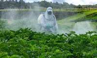  ‘Iran strongly committed to environmental protection, human health’