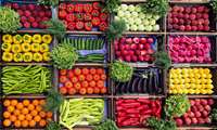  Sistan and Baluchestan witnesses surge in agricultural exports