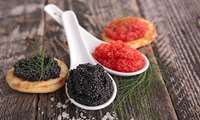 11 tons of caviar exported so far, IFO head says