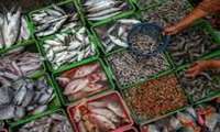 Iran targets to produce 1.8m tons of aquatic products
