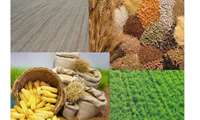 IAEO plans to reduce 40m tons of agricultural waste 