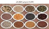  Modern seed technologies key to boosting crop yields