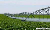 Over 360,000 hectares of farmland in South Khorasan Province equipped with modern irrigation systems: Official 