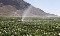  Nationwide agricultural land-use mapping initiative launched to support sustainable development
