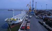 Iran projects establishment of 15 greenhouse exports hubs 