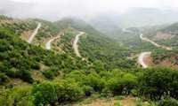 Iran to host Intl conference on Zagros Forest