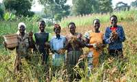  Iran sets sight on boosting agricultural ties with Africa  