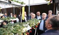 Iran President, Agriculture Minister visit mechanized greenhouse in Tehran province