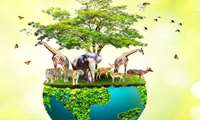 Iran takes measure to protect endangered species 
