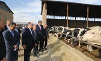 Agriculture Minister visits beef unit in Tehran