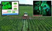 Iran taking measures to advance sustainable farming 