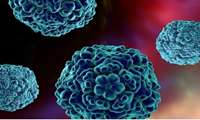 Iran cuts FMD outbreaks significantly via nationwide vaccination drive