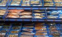 Bushehr exports over 21,000 tons of aquatic products to 18 countries