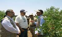 FAO expert visits Iran to help boost pistachio competitiveness in global market