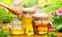 Iran ranks 4th in world in honey production