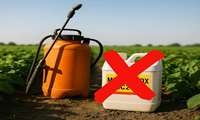 Iran Plant Protection Organization bans highly toxic insecticide 